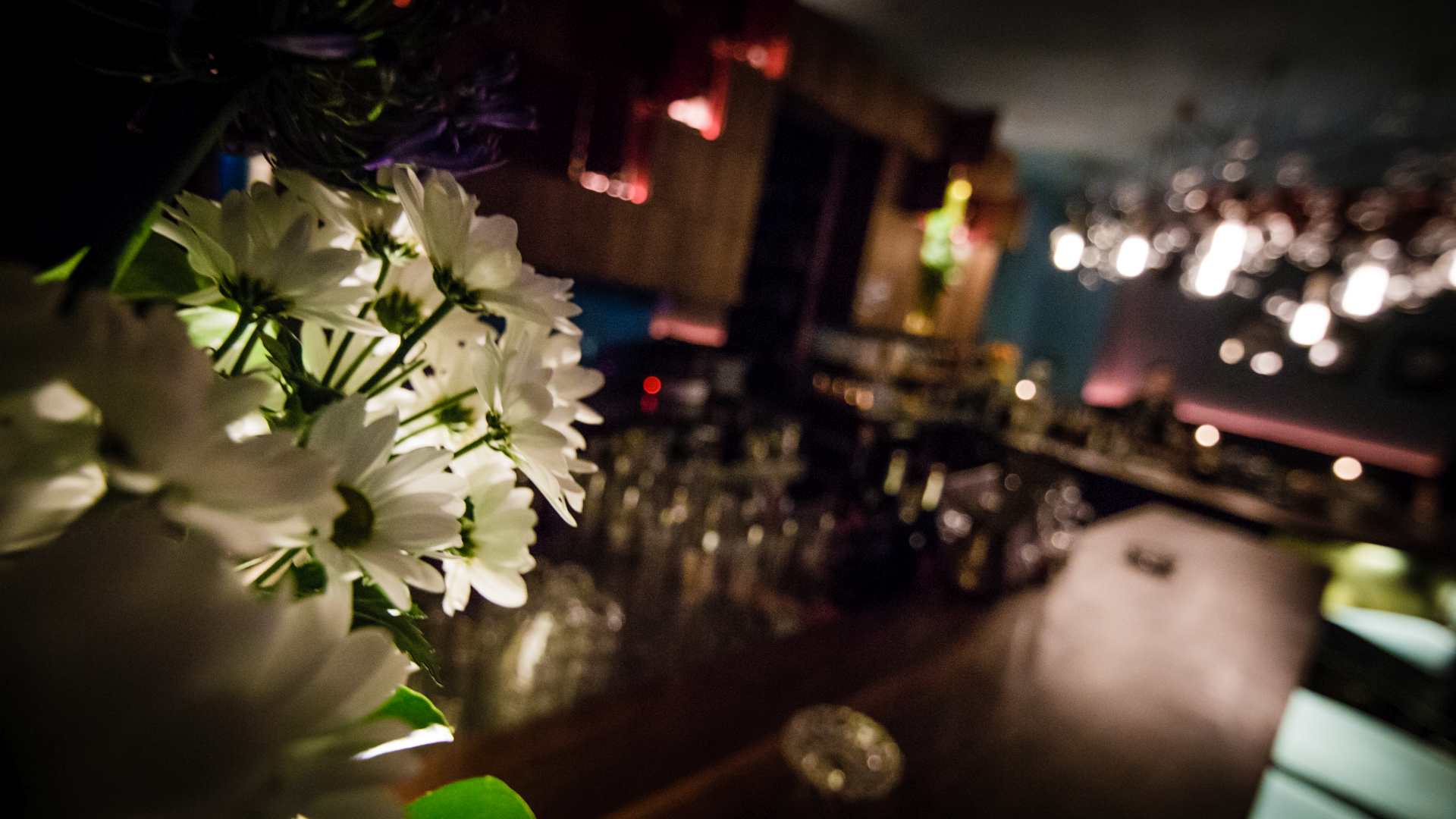 Hammond Bar Cocktailbar in 1020 Wien